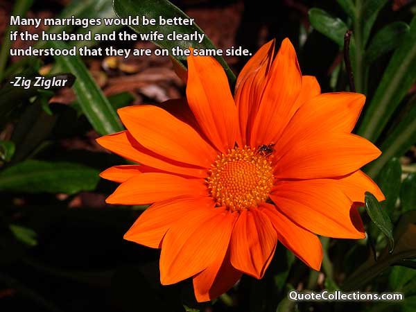 Zig Ziglar Quotes9